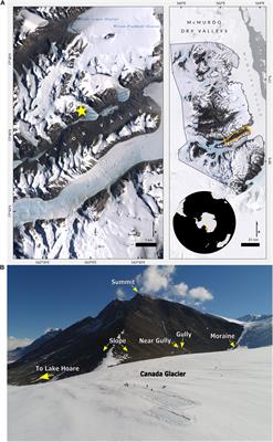 Gullies and Moraines Are Islands of Biodiversity in an Arid, Mountain Landscape, Asgard Range, Antarctica